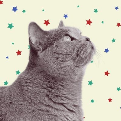 beliana.'s profile picture