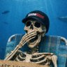Profilbild von Cognito