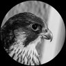 𝕱's profile picture