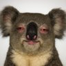 Profilbild von Eric