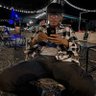 SSss profil fotoğrafı