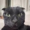 Del kaedehara's profile picture