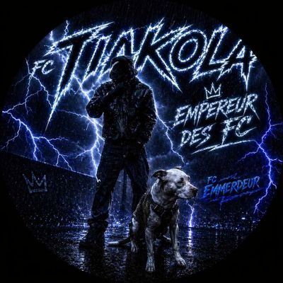 FC Emmerdeur's profile picture