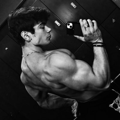 fersou ꕤ's profile picture