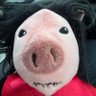 _the_ratking's profile picture