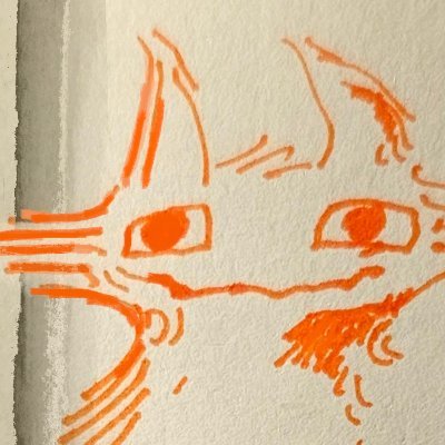 fileto's profile picture