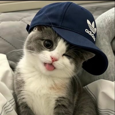 Elif Nihle's profile picture