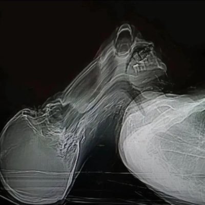 FatdadR6385's profile picture