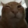 buhGlorious's profile picture