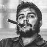 qeysar's profile picture