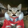 Profilbild von Crisalyx/Thragg cat aaahpicture