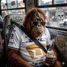 Фото профиля Alberto Ramos