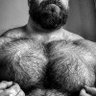 Фото профиля Xbunter