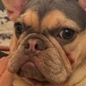 Kristin DeHart's profile picture