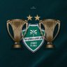 أهلاوي ملكي 💚's profile picture