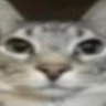 Profilbild von Glades of Green