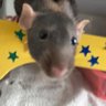 Arganaz's profile picture