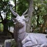 Фото профиля なかむら そう