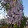 skybegin_daily profil fotoğrafı