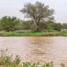 Profilbild von قبلان القحطاني