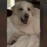 Traci profil fotoğrafı