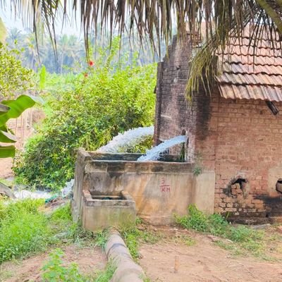 Swaroop Krishna - OG's profile picture