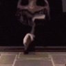 nivolethgetscounteredbyabobafett's profile picture