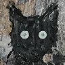 Фото профиля Kråke