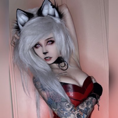 Wolfie @ Dokomi's profile picture