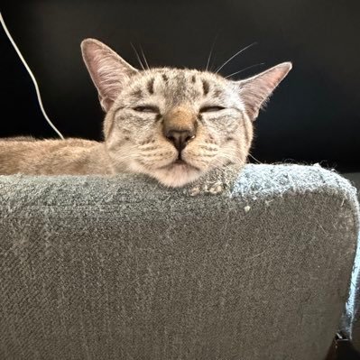 Annlee's profile picture