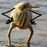Станислав Гущин profil fotoğrafı