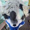 林深狗狗~'s profile picture