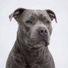 Profilbild von Phil El R