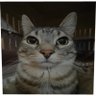 Фото профиля snookshooks