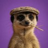 TH£_FJ profil fotoğrafı