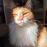 Ozzy & Angel Jelly 🌈 🐾's profile picture