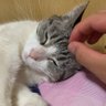 yuma profil fotoğrafı