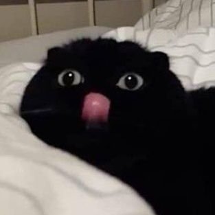 𝑯𝒆𝒂𝒓𝒕 𝑨𝒕𝒕𝒂𝒄𝒌's profile picture