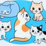 いりおもてやまね profil fotoğrafı