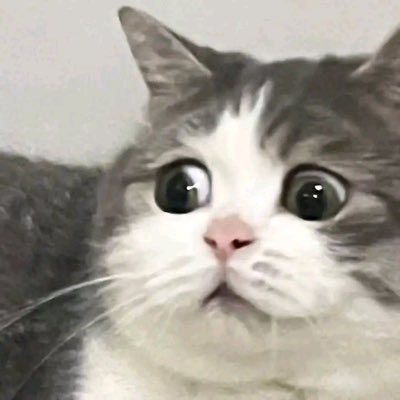 kkkumni's profile picture