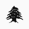 Profilbild von Maryam 🇱🇧