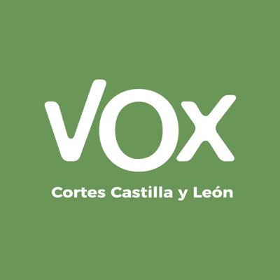 Grupo Parlamentario VOX Castilla y León's profile picture