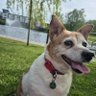 Noeleen Reilly's profile picture