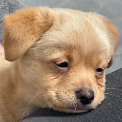 TT_LSK's profile picture