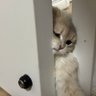 Jay na ja profil fotoğrafı
