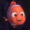 Nemo🐠 profil fotoğrafı