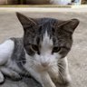 WE's profile picture