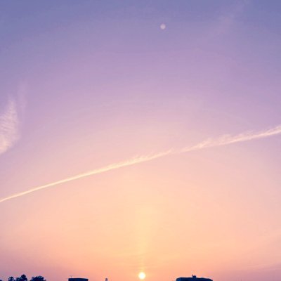 のぎ's profile picture