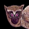 Profilbild von 野獣コインに全財産を賭けた男