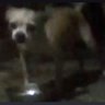 CRAYON999's profile picture